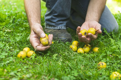 Midsection of man holding leaf