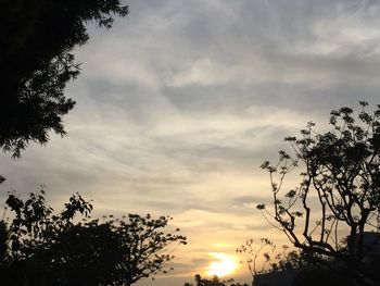 Low angle view of silhouette trees against cloudy sky