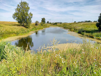 Scenic view of lake in field against sky