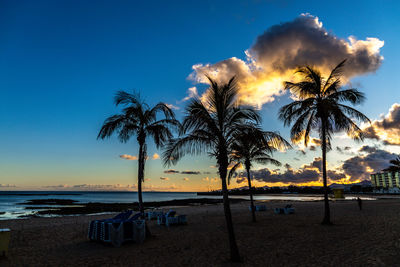 Palm trees on beach against sky during sunset