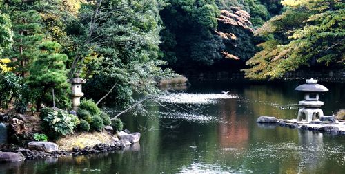 Scenic view of lake in forest