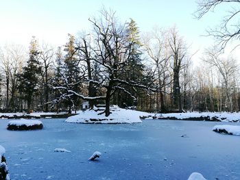 Trees by lake against sky during winter