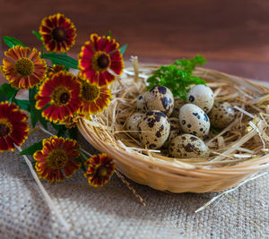 High angle view of flowering plants in basket on table