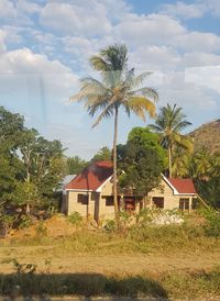House and palm trees on field against sky
