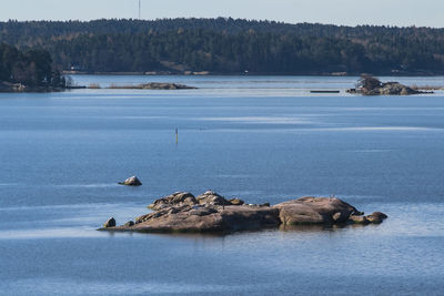 Scenic view of lake