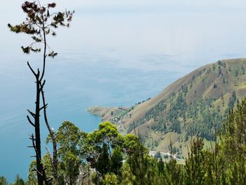 Scenic view of sea and trees against sky