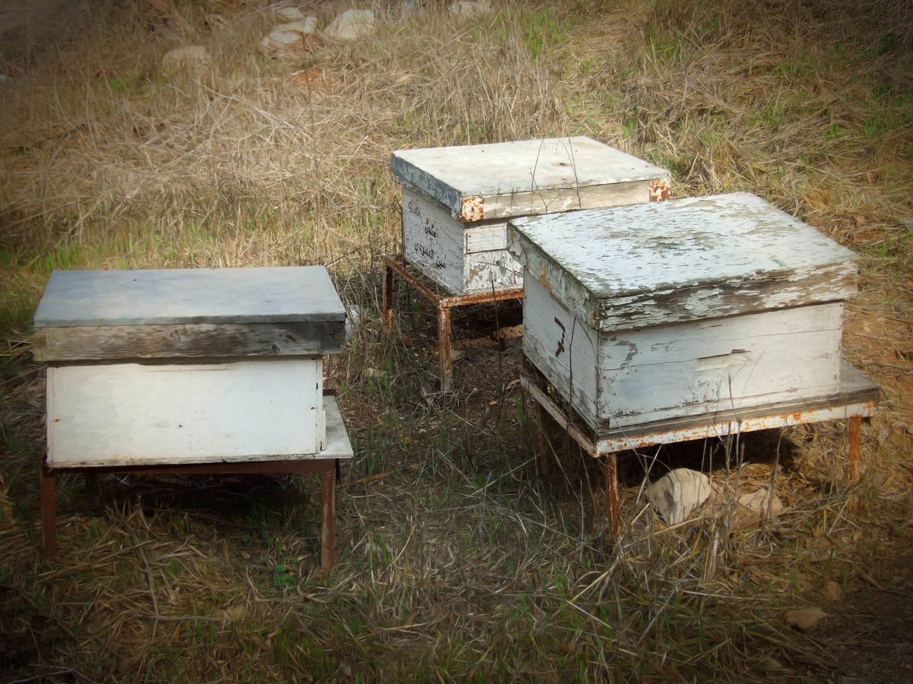 Agriculture, animal, apiary, bee, beehive, beekeeper, beekeeping, bees, box, colony, color, colorful, cross, domestic, ecology, farm, field, flower, flowers, fly, garden, grass, green, group, hive, hobby, home, honey, honeycomb, house, insect, landscape, 