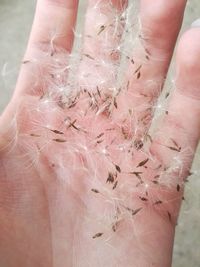 Low section of person holding feet