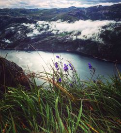 Scenic shot of calm lake