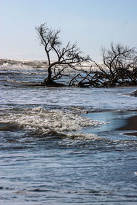 Scenic view of sea against clear sky