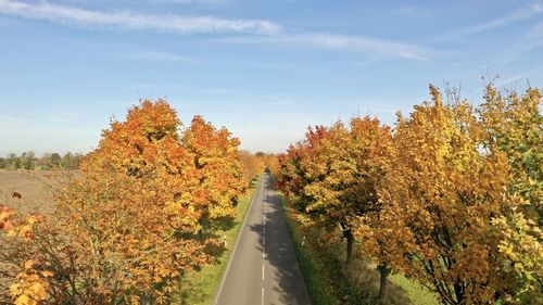 Road amidst trees against sky during autumn