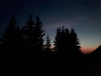 Silhouette of trees at night