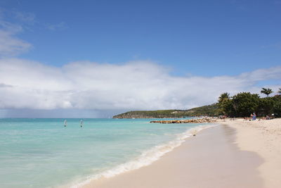 Scenic view of beach