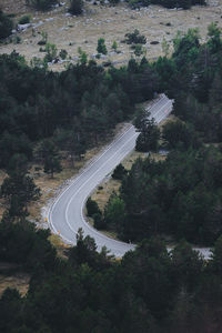 High angle view of road amidst trees