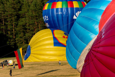 Multi colored hot air balloons, lithuanian flag and a standing person for the scale of the balloons