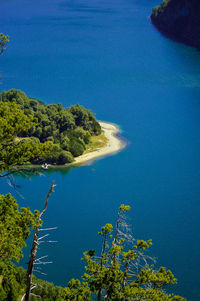 High angle view of sea and trees against sky