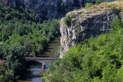 Scenic view of waterfall along trees