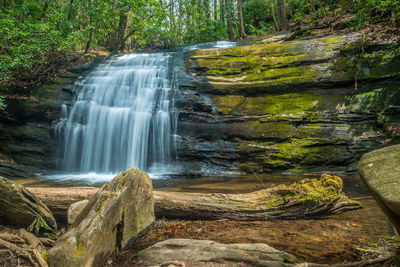 Scenic view of waterfall in forest