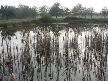 Scenic view of lake against sky
