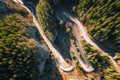 High angle view of road amidst trees