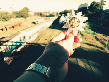 Close-up of hand holding flower