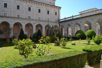 Trees and plants in garden