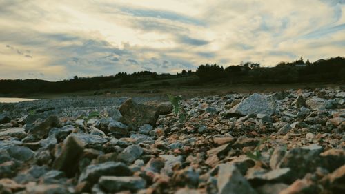 Surface level of rocks on shore against sky