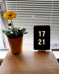 Close-up of potted plant on table