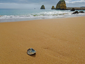 Surface level of sandy beach