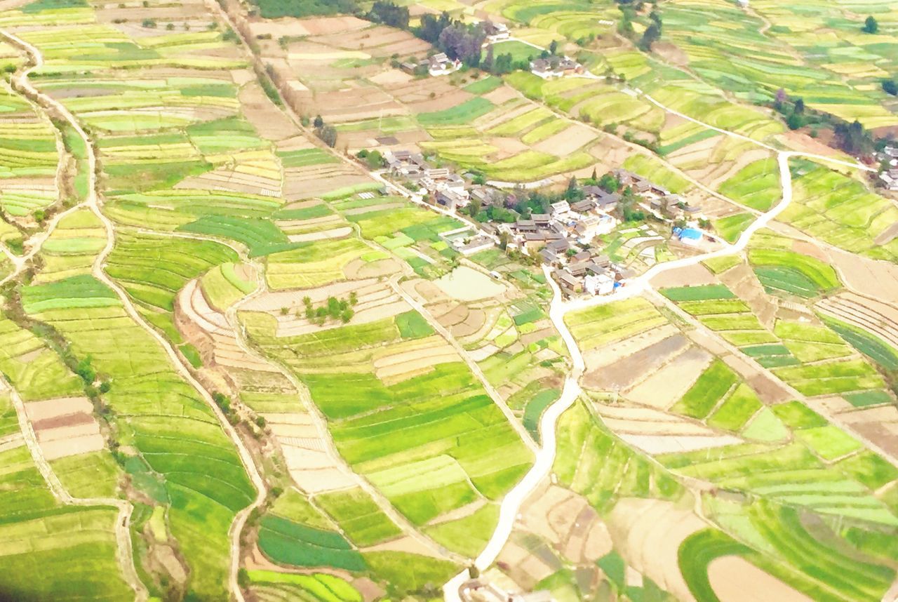 landscape, agriculture, green color, high angle view, rural scene, aerial view, farm, field, tranquility, nature, built structure, scenics, cultivated land, tranquil scene, tree, building exterior, beauty in nature, growth, architecture, crop