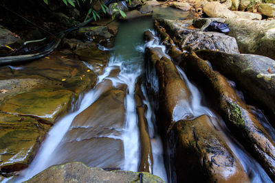 Scenic view of waterfall in forest