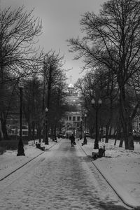 Snow covered trees in city