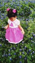 Close-up of woman holding pink flower