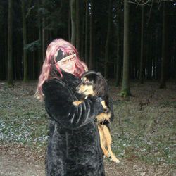 animal themes