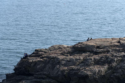 View of birds on rock formation