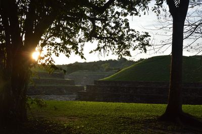 Scenic view of grassy field against sky at sunset