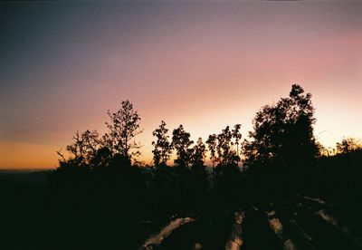 Silhouette trees against sky during sunset