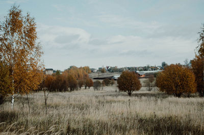 Field against sky during autumn