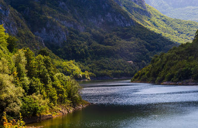 Beautiful lake - cerna valley romania 
