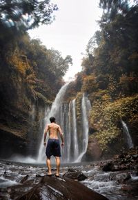 Rear view of shirtless man standing by waterfall in forest