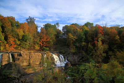 Scenic view of forest against sky during autumn