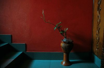 Close-up of potted plant on table against wall