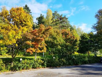 Trees in park against sky during autumn