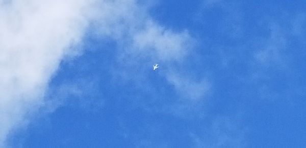 Low angle view of airplane flying in sky