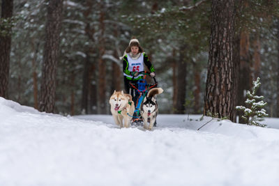 Dog riding horse in snow