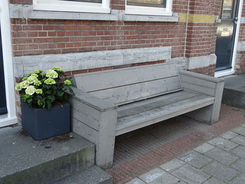 Potted plant on sidewalk by wall against building