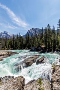 Scenic view of river flowing through rocks against trees and sky