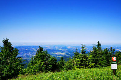 Scenic view of trees against clear blue sky