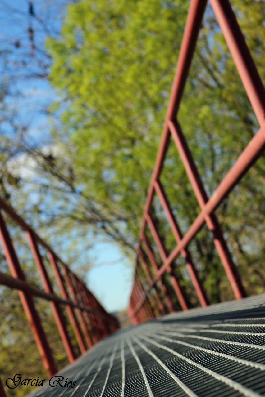 railing, tree, the way forward, metal, focus on foreground, footbridge, close-up, sunlight, diminishing perspective, day, built structure, growth, selective focus, steps, outdoors, bridge - man made structure, no people, shadow, branch, nature