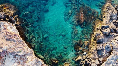 High angle view of rock formation in sea